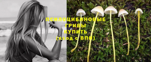 спайс Баксан